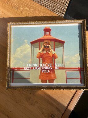 Wes Anderson Print in Vintage Frame